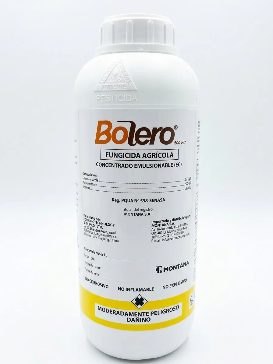 BOLERO