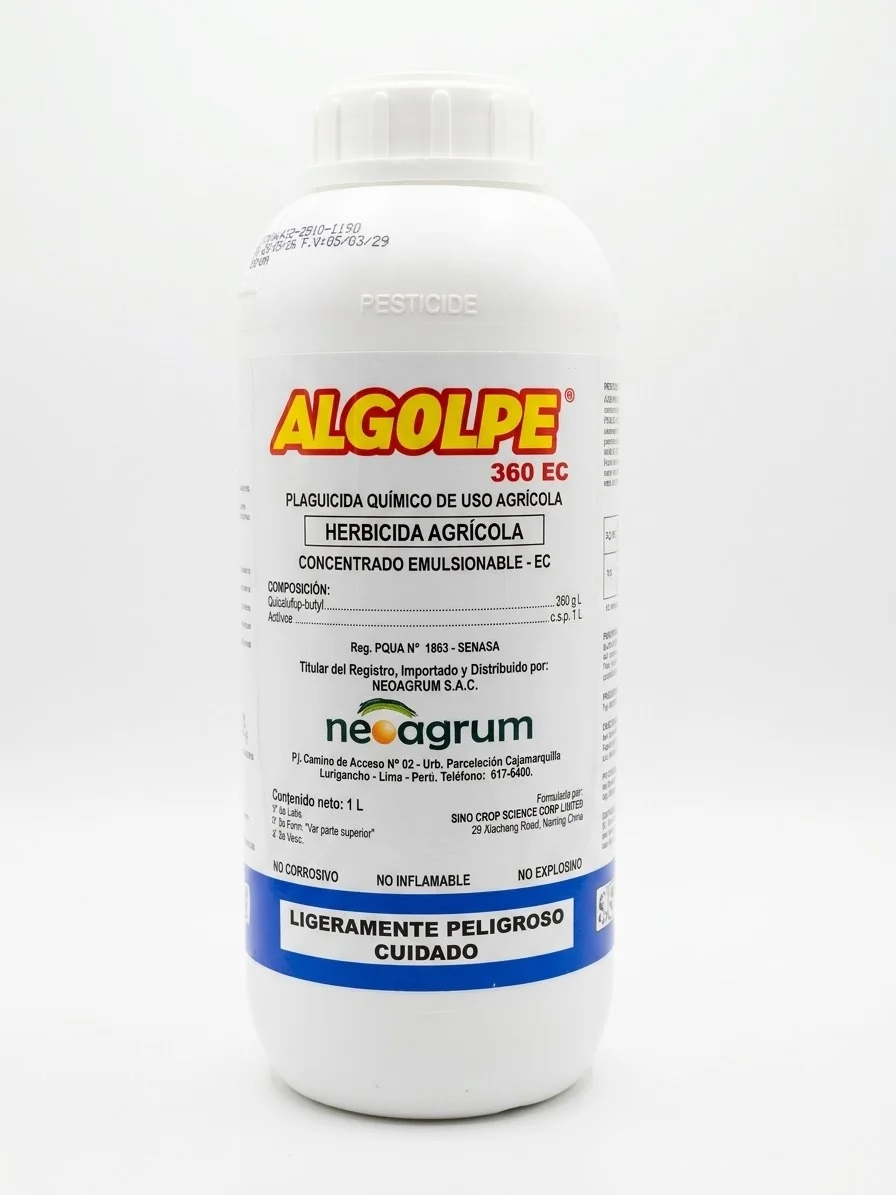 ALGOLPE 360