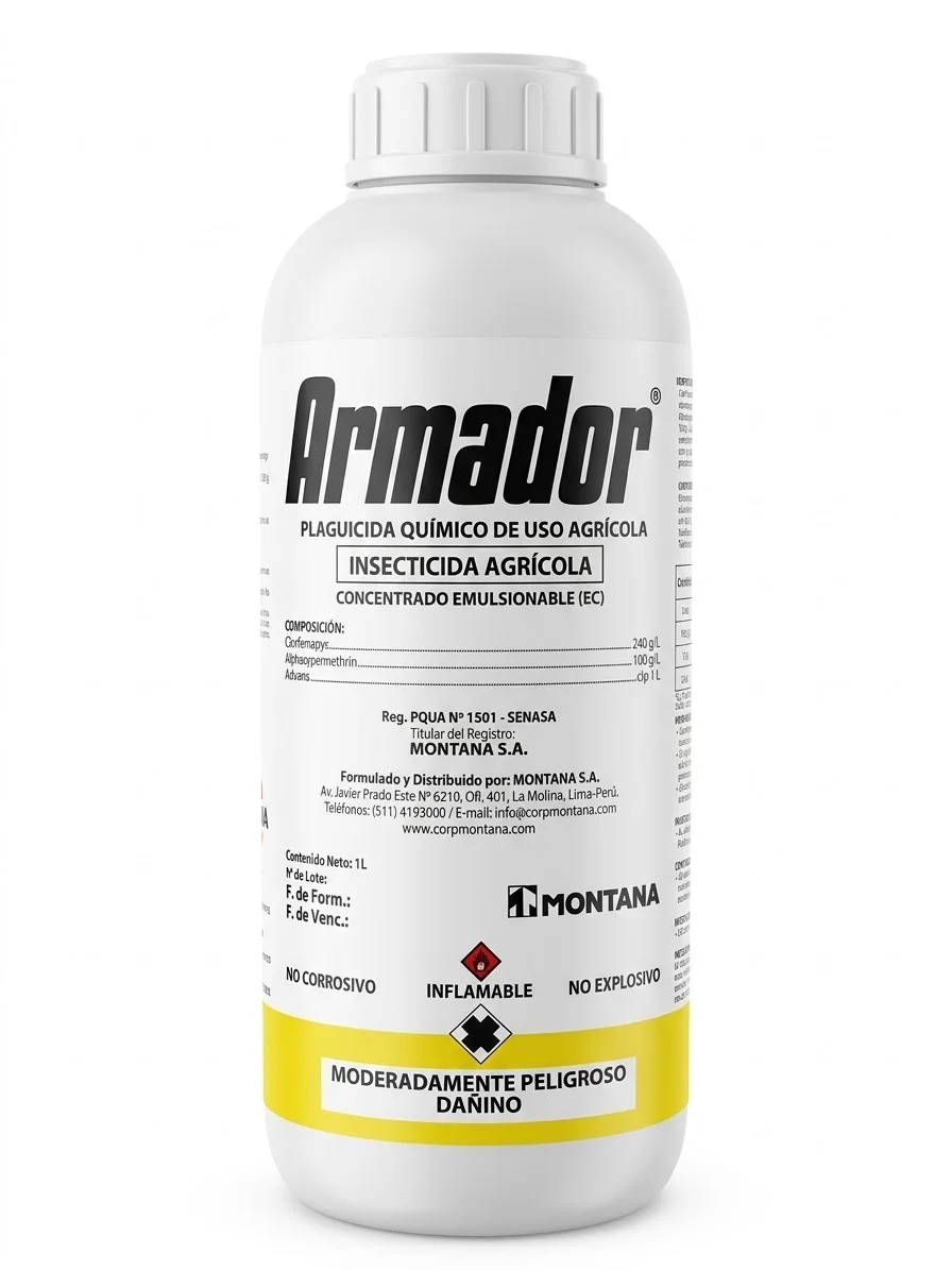 ARMADOR
