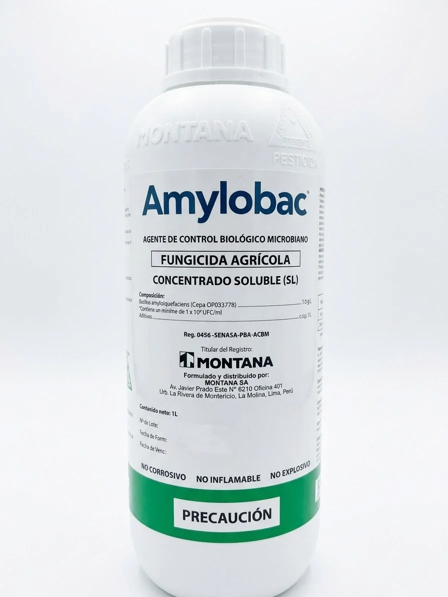 AMYLOBAC